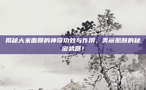 揭秘大米面膜的神奇功效与作用,美丽肌肤的秘密武器!