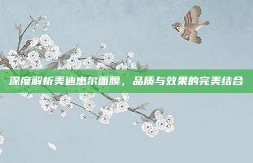 深度解析美迪惠尔面膜，品质与效果的完美结合