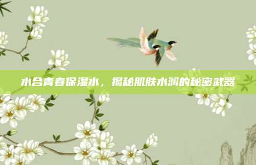 水合青春保湿水,揭秘肌肤水润的秘密武器