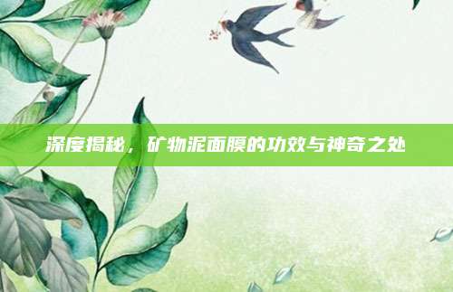 深度揭秘,矿物泥面膜的功效与神奇之处