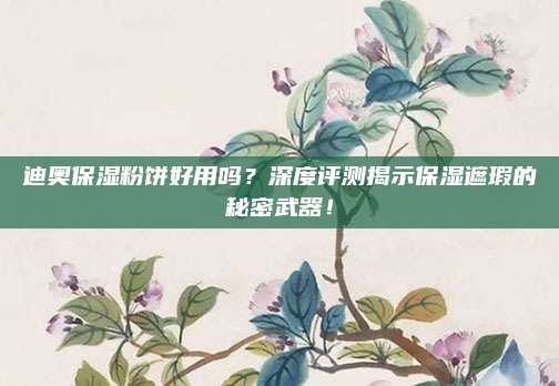 迪奥保湿粉饼好用吗?深度评测揭示保湿遮瑕的秘密武器!