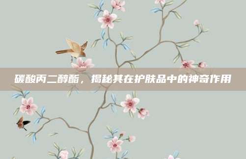 碳酸丙二醇酯,揭秘其在护肤品中的神奇作用