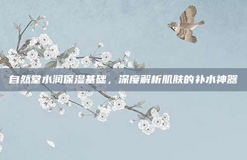 自然堂水润保湿基础,深度解析肌肤的补水神器