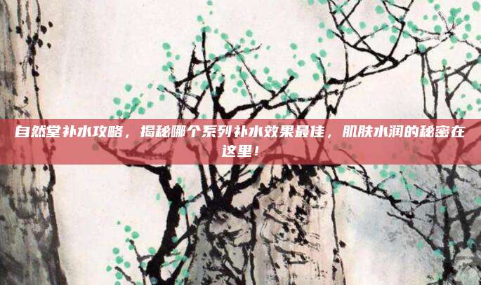自然堂补水攻略，揭秘哪个系列补水效果最佳，肌肤水润的秘密在这里！