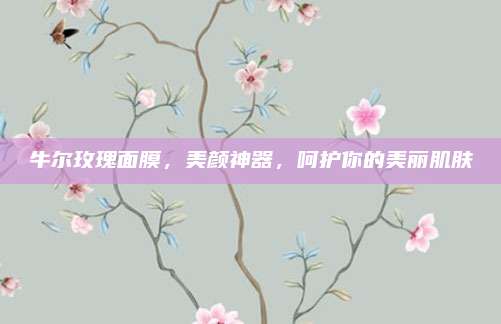 牛尔玫瑰面膜，美颜神器，呵护你的美丽肌肤