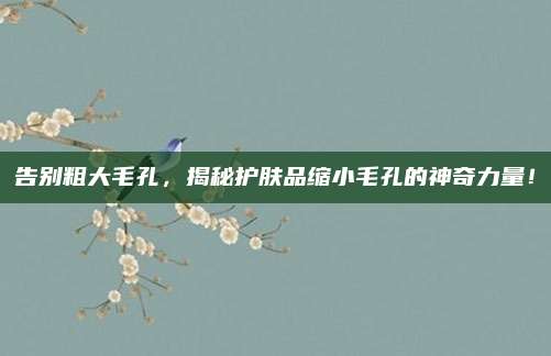 告别粗大毛孔，揭秘护肤品缩小毛孔的神奇力量！