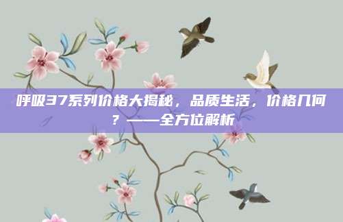 呼吸37系列价格大揭秘，品质生活，价格几何？——全方位解析