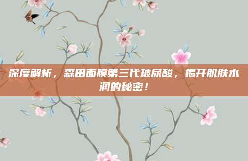 深度解析，森田面膜第三代玻尿酸，揭开肌肤水润的秘密！