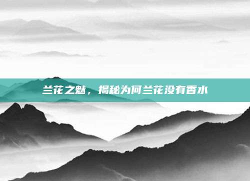 兰花之魅,揭秘为何兰花没有香水