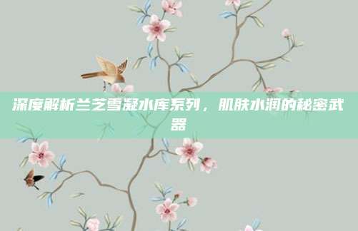 深度解析兰芝雪凝水库系列,肌肤水润的秘密武器
