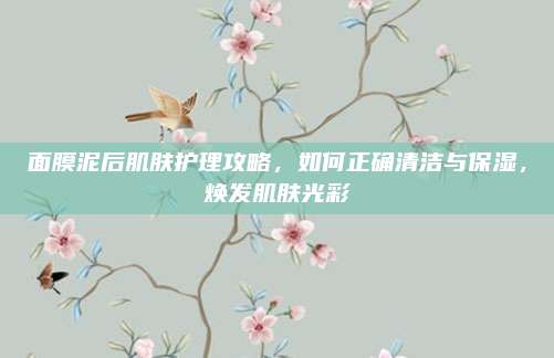 面膜泥后肌肤护理攻略,如何正确清洁与保湿,焕发肌肤光彩
