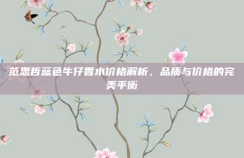 范思哲蓝色牛仔香水价格解析,品质与价格的完美平衡
