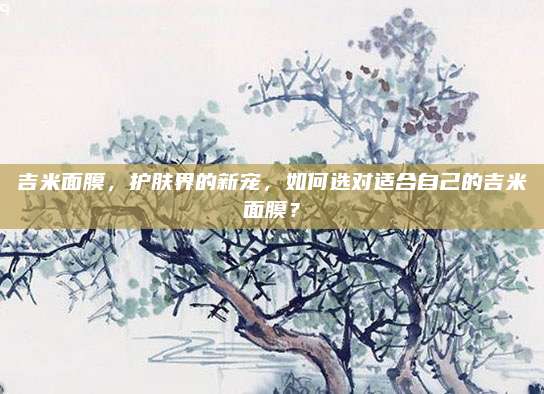 吉米面膜,护肤界的新宠,如何选对适合自己的吉米面膜?