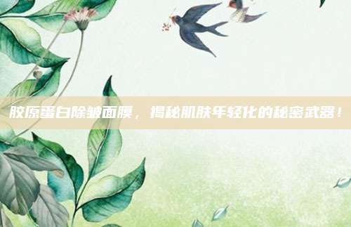 胶原蛋白除皱面膜，揭秘肌肤年轻化的秘密武器！