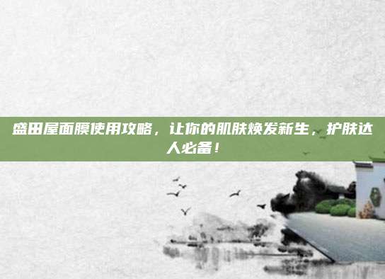 盛田屋面膜使用攻略,让你的肌肤焕发新生,护肤达人必备!
