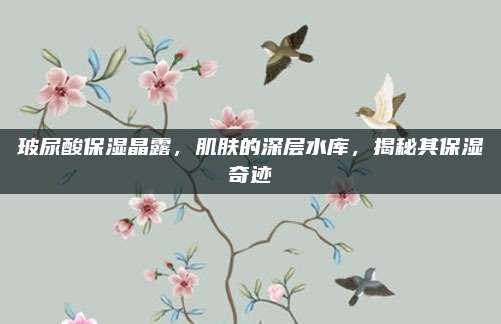 玻尿酸保湿晶露，肌肤的深层水库，揭秘其保湿奇迹