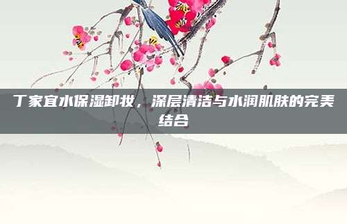 丁家宜水保湿卸妆，深层清洁与水润肌肤的完美结合