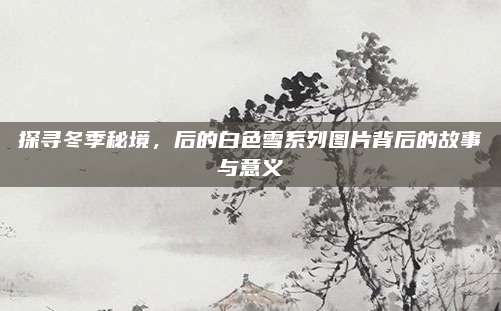 探寻冬季秘境，后的白色雪系列图片背后的故事与意义