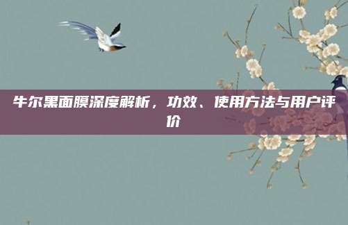 牛尔黑面膜深度解析，功效、使用方法与用户评价