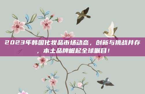 2023年韩国化妆品市场动态，创新与挑战并存，本土品牌崛起全球瞩目！