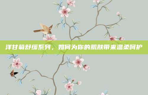 洋甘菊舒缓系列,如何为你的肌肤带来温柔呵护