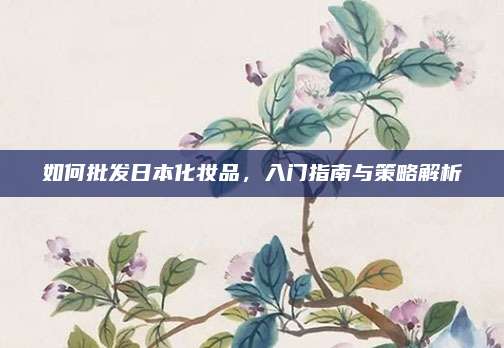 如何批发日本化妆品，入门指南与策略解析
