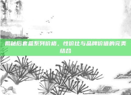 揭秘后套盒系列价格，性价比与品牌价值的完美结合