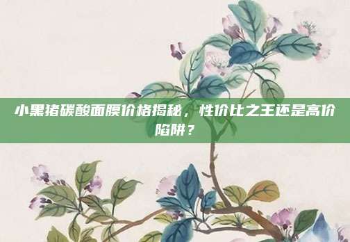 小黑猪碳酸面膜价格揭秘，性价比之王还是高价陷阱？