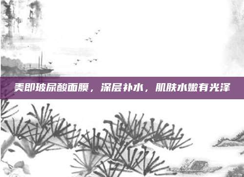 美即玻尿酸面膜，深层补水，肌肤水嫩有光泽