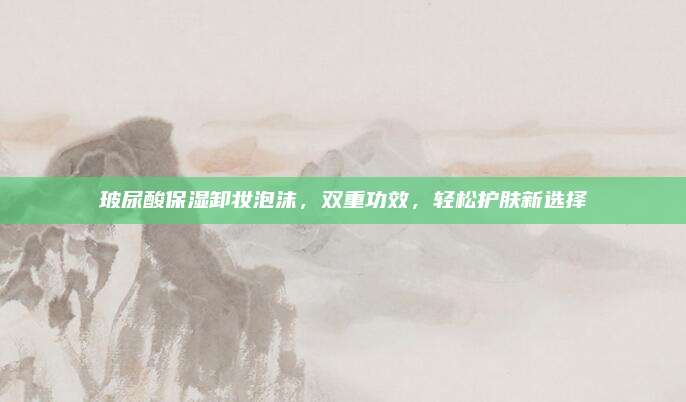 玻尿酸保湿卸妆泡沫,双重功效,轻松护肤新选择