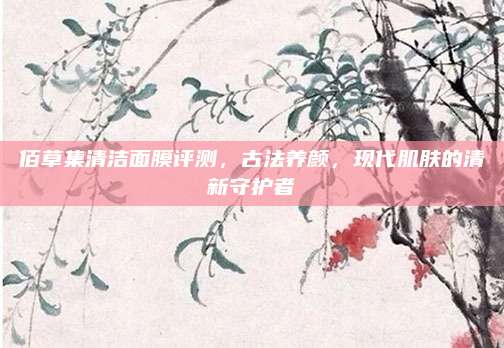 佰草集清洁面膜评测，古法养颜，现代肌肤的清新守护者