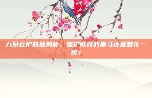 九朵云护肤品揭秘,是护肤界的黑马还是昙花一现?