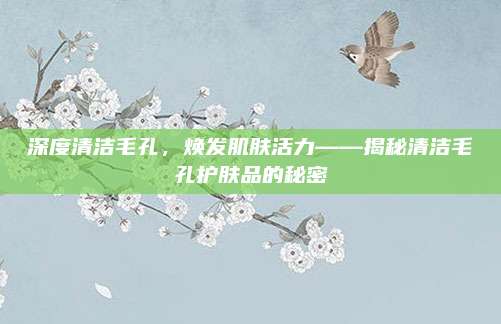 深度清洁毛孔，焕发肌肤活力——揭秘清洁毛孔护肤品的秘密
