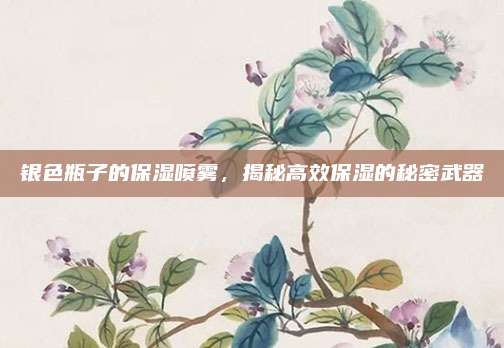 银色瓶子的保湿喷雾，揭秘高效保湿的秘密武器