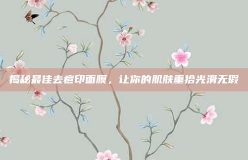 揭秘最佳去痘印面膜,让你的肌肤重拾光滑无瑕