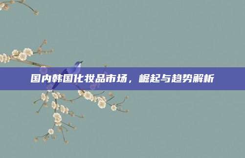 国内韩国化妆品市场,崛起与趋势解析