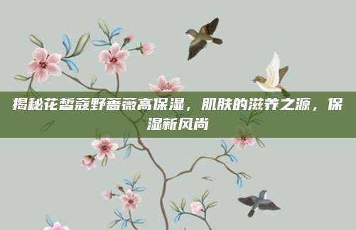 揭秘花皙蔻野蔷薇高保湿，肌肤的滋养之源，保湿新风尚