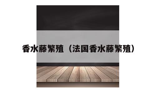 香水藤繁殖（法国香水藤繁殖）