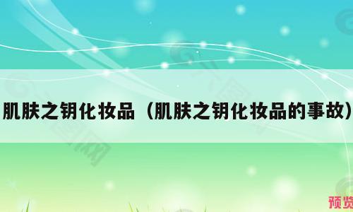 肌肤之钥化妆品（肌肤之钥化妆品的事故）