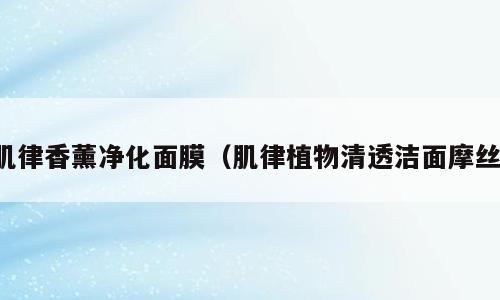 肌律香薰净化面膜（肌律植物清透洁面摩丝）