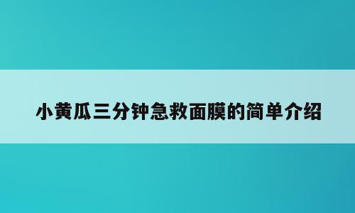 小黄瓜三分钟急救面膜的简单介绍