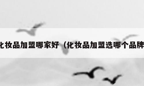 化妆品加盟哪家好（化妆品加盟选哪个品牌）