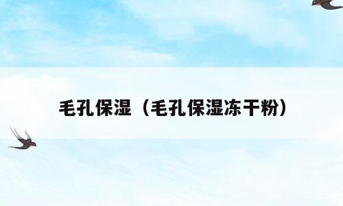 毛孔保湿（毛孔保湿冻干粉）