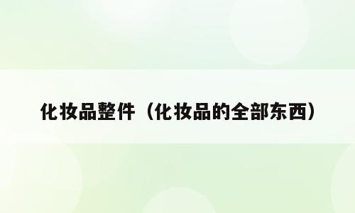 化妆品整件（化妆品的全部东西）