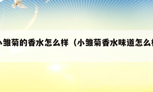 小雏菊的香水怎么样（小雏菊香水味道怎么样）