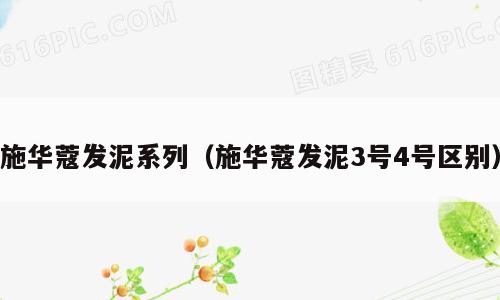 施华蔻发泥系列（施华蔻发泥3号4号区别）