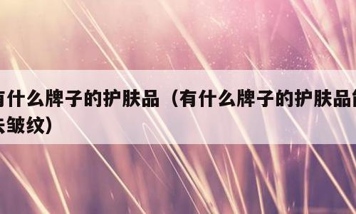 有什么牌子的护肤品（有什么牌子的护肤品能去皱纹）