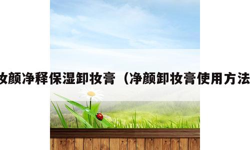 妆颜净释保湿卸妆膏（净颜卸妆膏使用方法）
