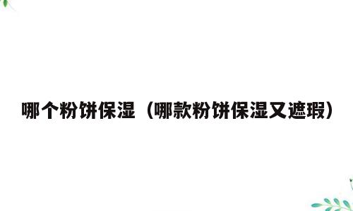 哪个粉饼保湿（哪款粉饼保湿又遮瑕）