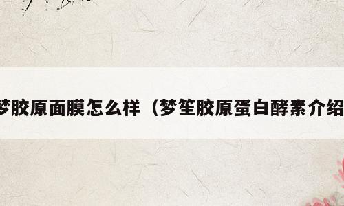 梦胶原面膜怎么样（梦笙胶原蛋白酵素介绍）